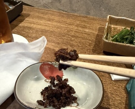 Dinner at Yanagiya (柳家)