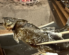 Dinner at Yanagiya (柳家)