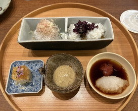 Dinner at Shinmonzen Yonemura (新門前 米村)
