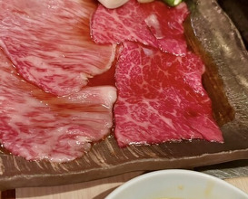 Dinner at Sumibi Yaki Yuji (炭火焼 ゆうじ)