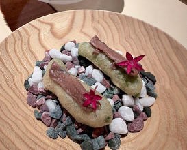 Dinner at ZURRIOLA (スリオラ)