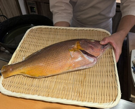 Dinner at Meizan Kimiya (名山 きみや)