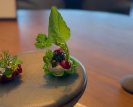 Dinner at Blue Lagoon Iceland