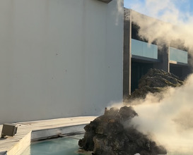 Dinner at Blue Lagoon Iceland