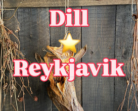 Dinner at DILL Restaurant Reykjavik