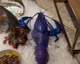 Dinner at Zén