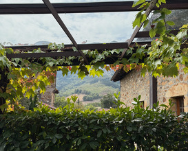 Dinner at Asador Etxebarri