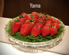 Dinner at Yama