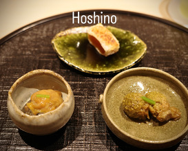 Dinner at 新橋 星野