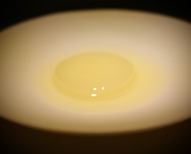 Dinner at トレイス