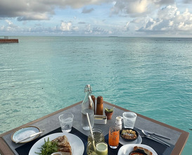 Dinner at VILU Restaurant & Bar