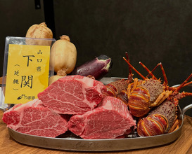Dinner at Tokyo, Japan