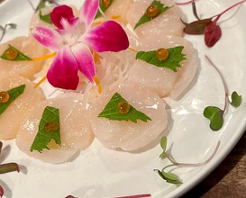 Dinner at Origami Japanese Restaurant Sushi & Such