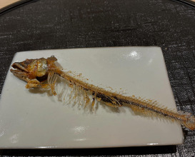 Dinner at 新橋 星野