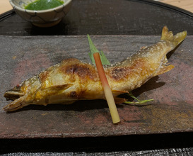 Dinner at 新橋 星野