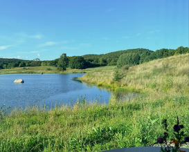 Dinner at Ästad Vingård