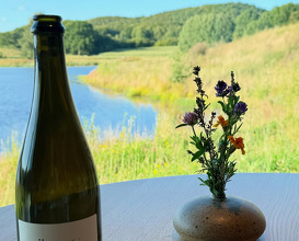 Dinner at Ästad Vingård