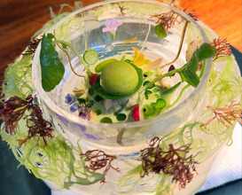 Dinner at Enclos Sonoma