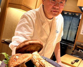 Dinner at Shimbashi Hoshino (新ばし 星野)