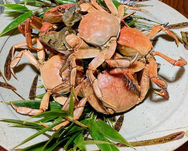 Dinner at Ame Gen (飴源)