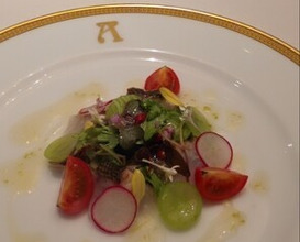 Dinner at APICIUS