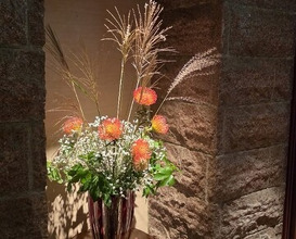 Dinner at APICIUS