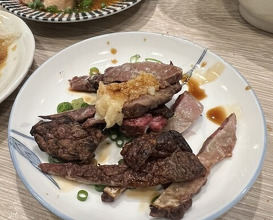Dinner at Wafu Motsu Ryori Arata (和風もつ料理 あらた)