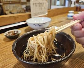 Dinner at Akama Chaya Asago (赤間茶屋 あ三五)