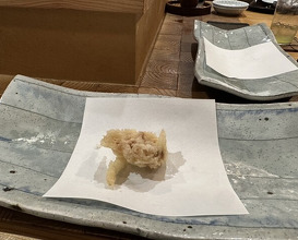 Dinner at Tempura Asanuma (天ぷら浅沼)