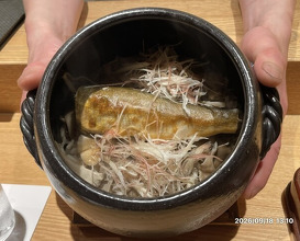 Dinner at Eizan (永山)