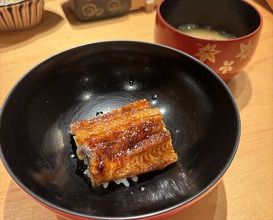 Dinner at Sushi Fujinaga (鮓 ふじなが)