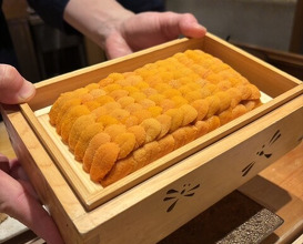 Dinner at Sushi Fujinaga (鮓 ふじなが)