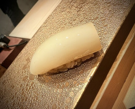 Dinner at Sushi Fujinaga (鮓 ふじなが)