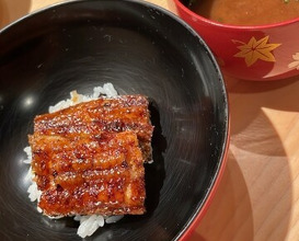 Dinner at Sushi Fujinaga (鮓 ふじなが)