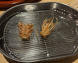 Dinner at Tempura Fukamachi (てんぷら 深町)