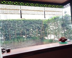 Dinner at Chinese Hanten Fureika (中国飯店 富麗華)