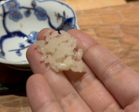 Dinner at HATSUNEZUSHI (初音鮨)