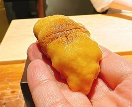 Dinner at HATSUNEZUSHI (初音鮨)