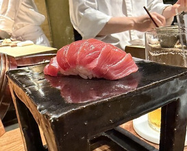 Dinner at HATSUNEZUSHI (初音鮨)
