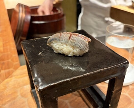 Dinner at HATSUNEZUSHI (初音鮨)