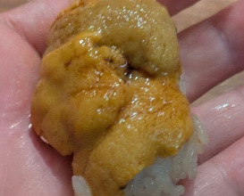 Dinner at HATSUNEZUSHI (初音鮨)
