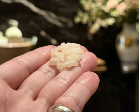 Dinner at HATSUNEZUSHI (初音鮨)