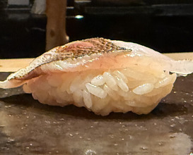 Dinner at HATSUNEZUSHI (初音鮨)