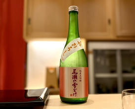 Dinner at Sushi Hijikata (鮨 土方)