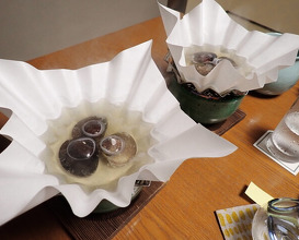 Dinner at Hinode (日の出)