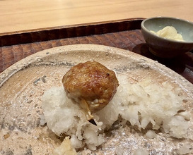 Dinner at kanjo