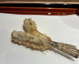 Dinner at Tempura Kondo (てんぷら 近藤)