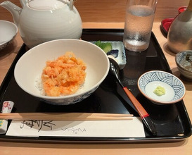 Dinner at Tempura Kondo (てんぷら 近藤)