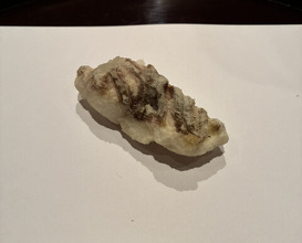 Dinner at Tempura Kyoboshi (天ぷら 京星)