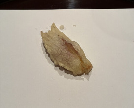 Dinner at Tempura Kyoboshi (天ぷら 京星)